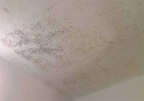 北京天花板漏水檢測與維修